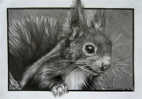 See more ideas about animal drawings, drawings, realistic animal drawings. Realistic Animal Drawings - XciteFun.net