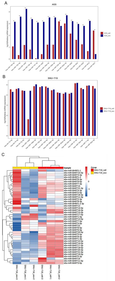 Differential Expression Of Mirna In Snu And Ags Cells And Exosomes