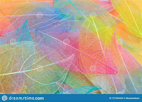 This tunic can be worn with leggings and sleeveless top or you can wear it on the beach, over your favorite swimsuit. Leaf Texture Pattern. Macro Leaves Background Texture ...