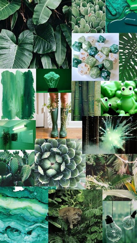 Find over 100+ of the best free green aesthetic images. Light Green Aesthetic Wallpapers - Top Free Light Green ...