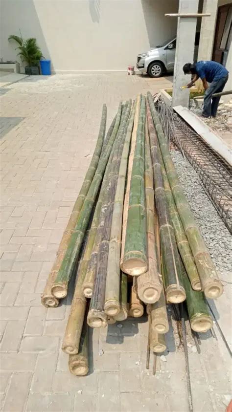 Jual Bambu Steger Dan Triplek Cor Konstruksi Dan Taman 873145998