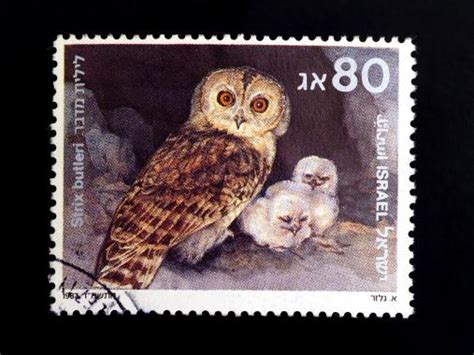 Drucken sie die webstamp direkt auf ihren brief oder ihre serienbriefe. Kinderpost Briefmarke Selber Drucken / Briefmarken Zum Ausdrucken - Kinderpost briefmarke selber ...