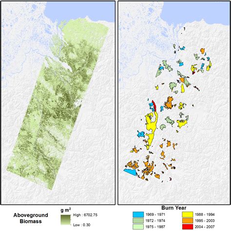 Siberian Boreal Forest Aboveground Biomass And Fire Scar