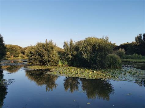 Marsh Water Ponds Kidwelly 2022 Lohnt Es Sich Mit Fotos