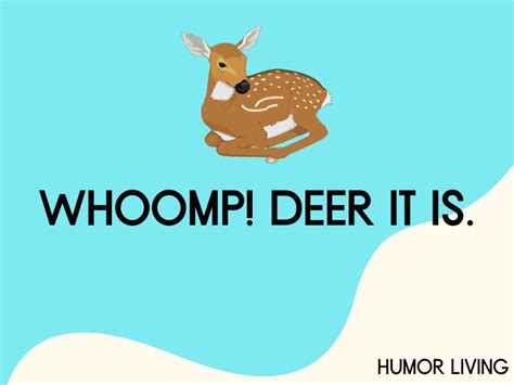 120 Hilarious Deer Puns To Make You Laugh Doe Hard Humor Living
