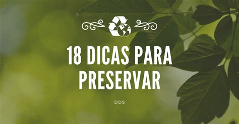 18 Dicas Para Preservar O Meio Ambiente Dds 2024