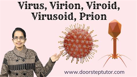 Virus Virion Viroid Virusoid Prion Know The Difference Dna Rna