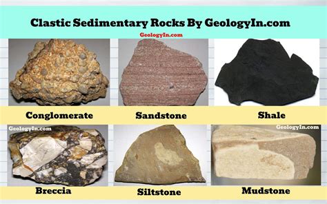 Sedimentary Rocks Formation Types Examples Geology In