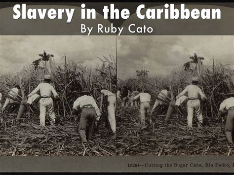 Slavery In The Caribbean By Rubycato