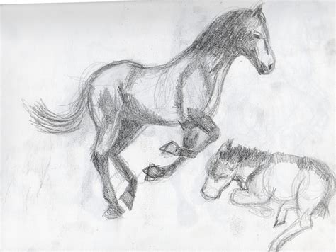 If you like anime and manga, of course you want to draw. Britt's Graphics: Animal Drawing Practice: Horses