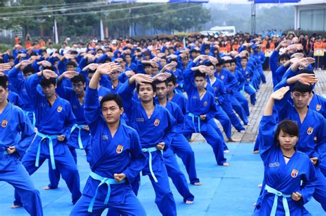 Vovinam The Vietnamese Martial Art Discover Halong
