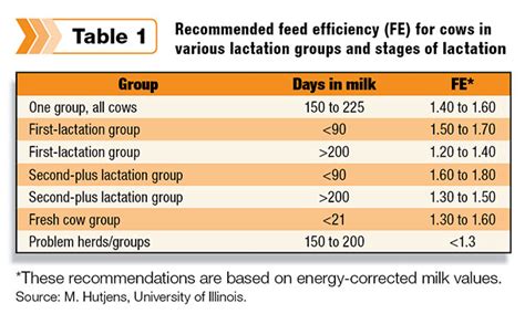 Calculating Feed Efficiency Ag Proud