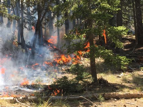 Coconino County Enacts Stage 1 Fire Restrictions Below Mogollon Rim