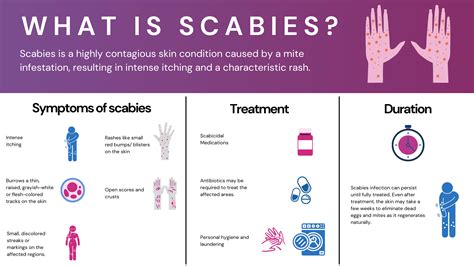 is scabies an std signs transmission and treatment