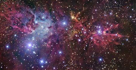 A Spectacular Picture Of The Fox Fur Nebula The Just