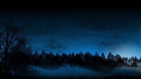 Download Trees Forest Night Fog Mist Blue Cg Sky Wallpaper Background
