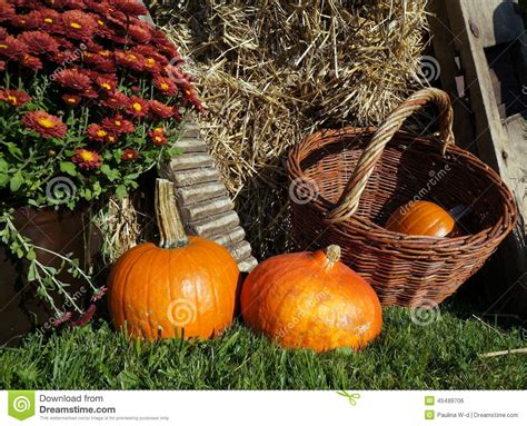 Herbstdekoration Mit Kürbisen, Weidenkorbchrysantheme Und Stroh ...