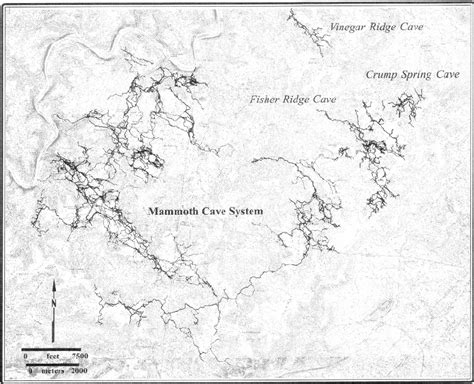 Caves Of The Mammoth Cave Region Borden And Brucker 2000 Download