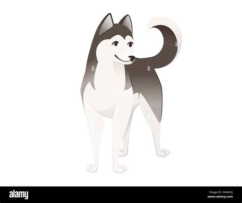 Cute Domestic Dog Siberian Husky Purebred Cartoon Animal Design Flat