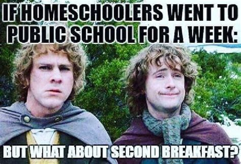 Homeschool Memes To Brighten Your Day An Intentional Life