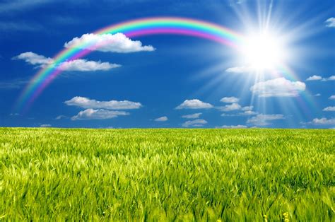 40 Rainbow Sunshine Wallpapers Wallpapersafari