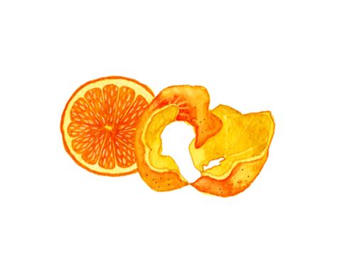 Orange Peel Benefits Orange Peel Tea Benefits Dilmah Infusions
