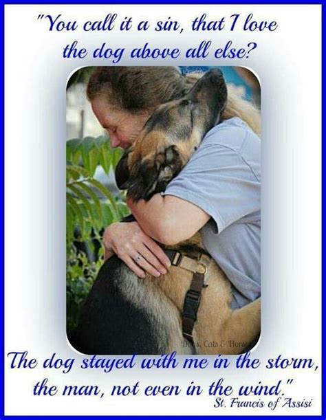 Pin By Diane Mckenna On Quotes That Speak To The Heart German Shepherd Dogs Dog Quotes Dogs