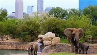 The Indianapolis Zoo Named one of the Nation’s Best – Indiana Public Radio