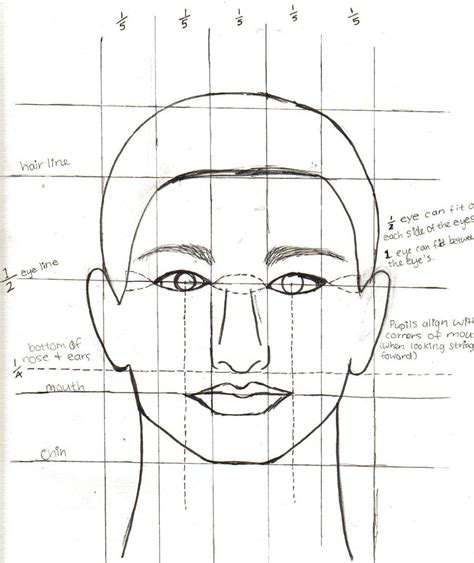 The Wonderful Obsessions Facial Proportion Art 1 Ideas Pinterest