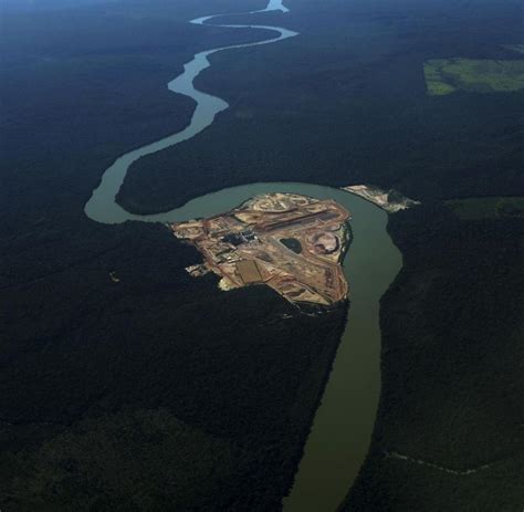 Umwelt Die Vernichtung Des Amazonas Regenwaldes Welt