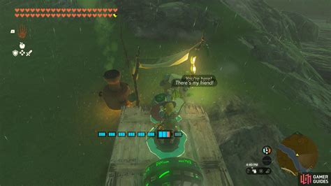 Korok Seed (x2) - The Legend of Zelda: Tears of the Kingdom Database