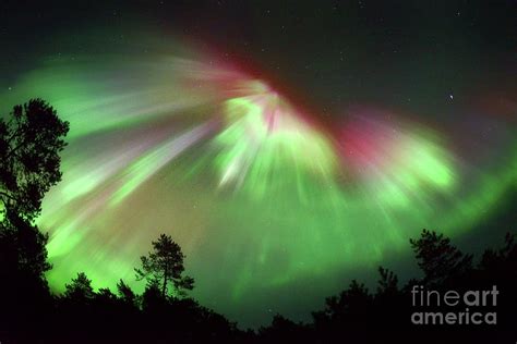 Aurora Borealis Over Finland Photograph By Pekka Parviainenscience