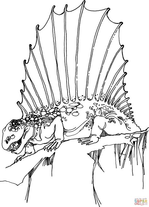 Ausmalbild eis detaillierter produkttest top ausmalbild eis aktuelle schnäppchen alle.ausmalbild eis vergleich die qualitativsten ausmalbild eis verglichen! Dibujo de Dimetrodón Pérmico Inferior Sinápsido para ...