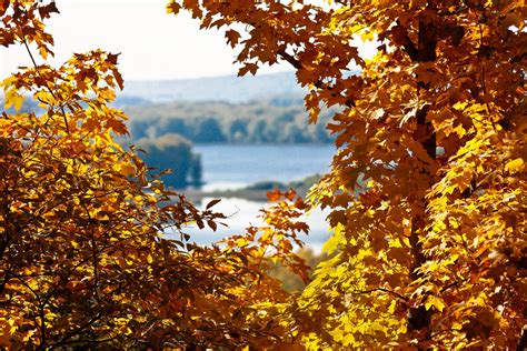 Fall Foliage At These 8 State Parks In Illinois Is Beautiful