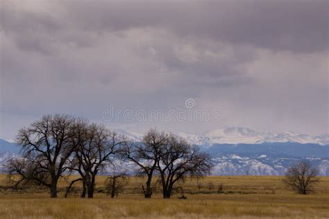 Rocky Mountain Arsenal National Wildlife Refuge Stock Photo Image Of