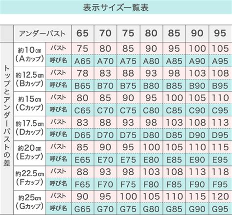 バスト カップ 基準