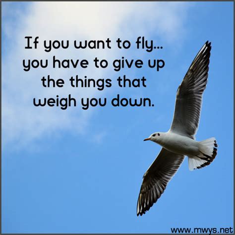Funny Flying Quotes And Sayings Shortquotescc
