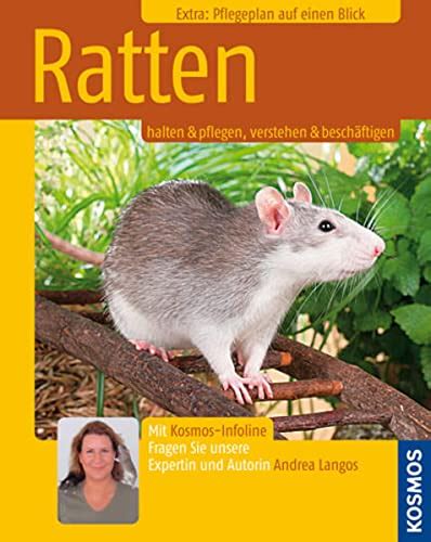 Ratten Halten Pflegen Verstehen Beschaeftigen Extra Pflegeplan Auf Einen Blick Mit