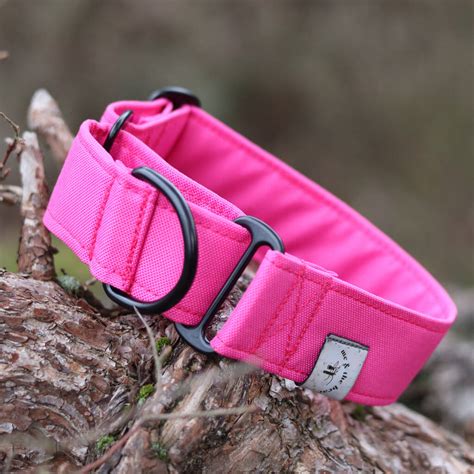 Waterproof Martingale Dog Collar By Me And The Bear