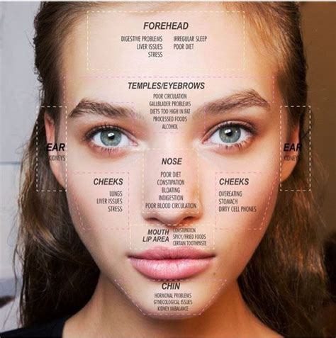 Face Mapping Has Been Around Over Several Thousand Of Years In The