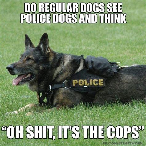 Police Dogs Funny Dog Memes Service Dog Memes Police Dogs