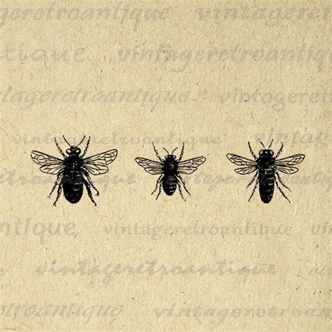 Vintage Bee Clip Art Vintage Etsy Vintage Bee Artwork Antique