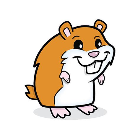 List 99 Wallpaper Cartoon Cute Hamster Drawing Full Hd 2k 4k