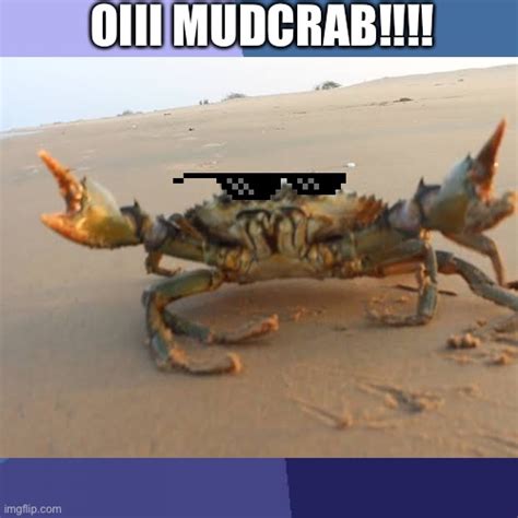 Mudcrab Mud Crab Imgflip