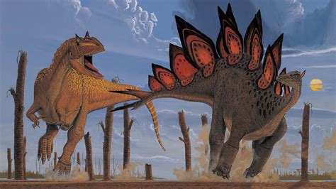 The Natural World The Purpose Of The Plates Of Stegosaurus Stegosaurus Week