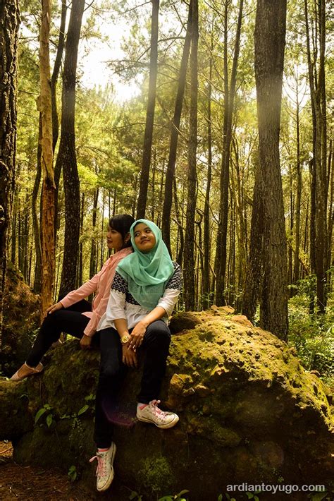 Hutan Pinus Mangunan Spot Foto Paling Favorit Ardiantoyugo