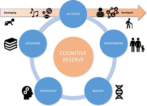 The Stimulating Environments Increase The Essential Epigenetic Changes