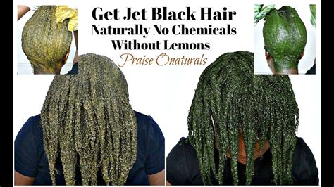 How To Dye Hair Blackjet Black Naturally With Amla Henna