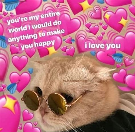 Wholesome Wholesomememe Lovememe Wholesomememes Lovememes Cute