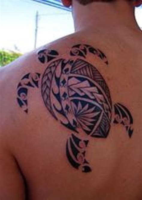Tattoo Hawaiian Turtle Tattoos Tribal Turtle Tattoos Sea Turtle
